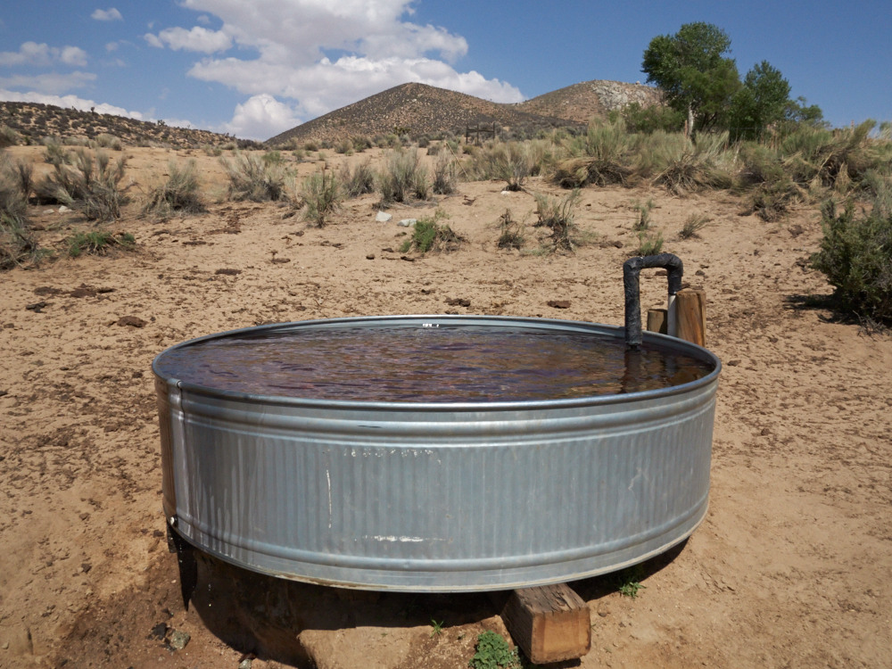 WR622 — Clear water in the trough near Willow Spring on 5/4/13. (Photo by Halfmile)